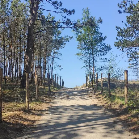 Awesome In With Wifi