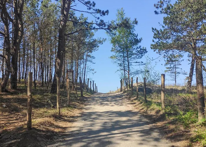 Awesome In With Wifi